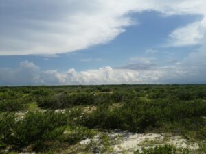 Levantamiento de campo para evaluación de impacto ambiental y diversos proyectos de planeación territorial